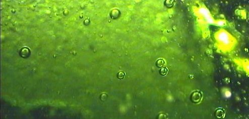 Burbujas en un vidrio
