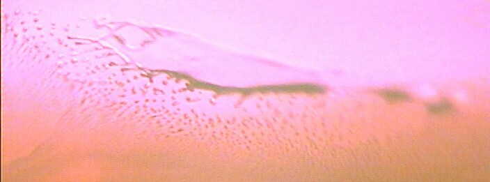 Inclusiones bifásicas en un rubí