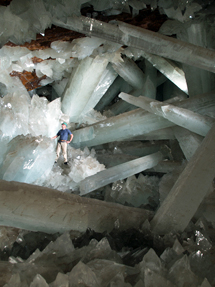 Foto: Javier Trueba / Madrid Scientific Films