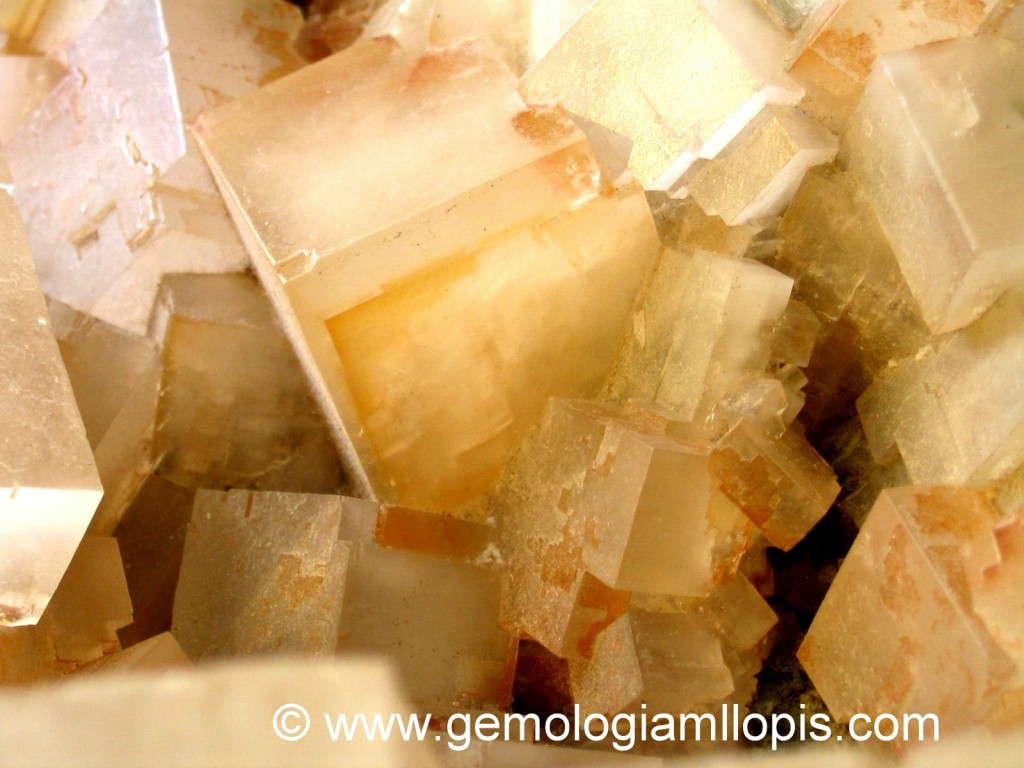 Cristales cúbicos superpuestos de halita. Presentan zonas de color paralelas a las caras del cubo.