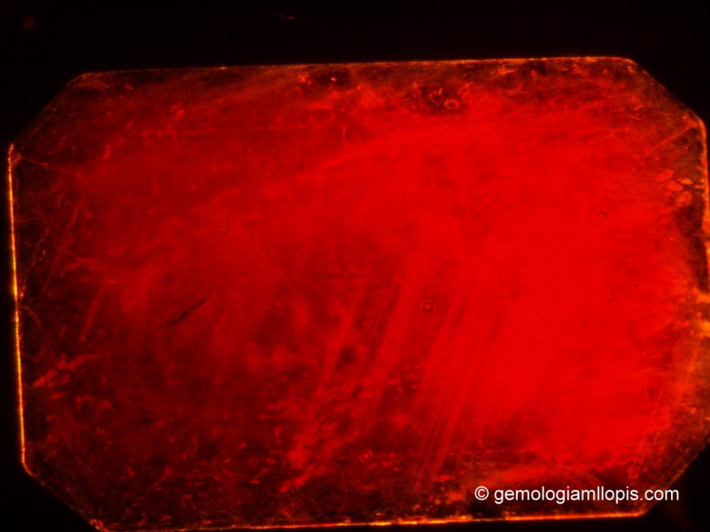 Burbuja de aire atrapada en el material de relleno en un rubí natural rellenado con vidrio. La piedra se ha sumergido en ioduro de metileno con iluminación de campo oscuro. 30X.