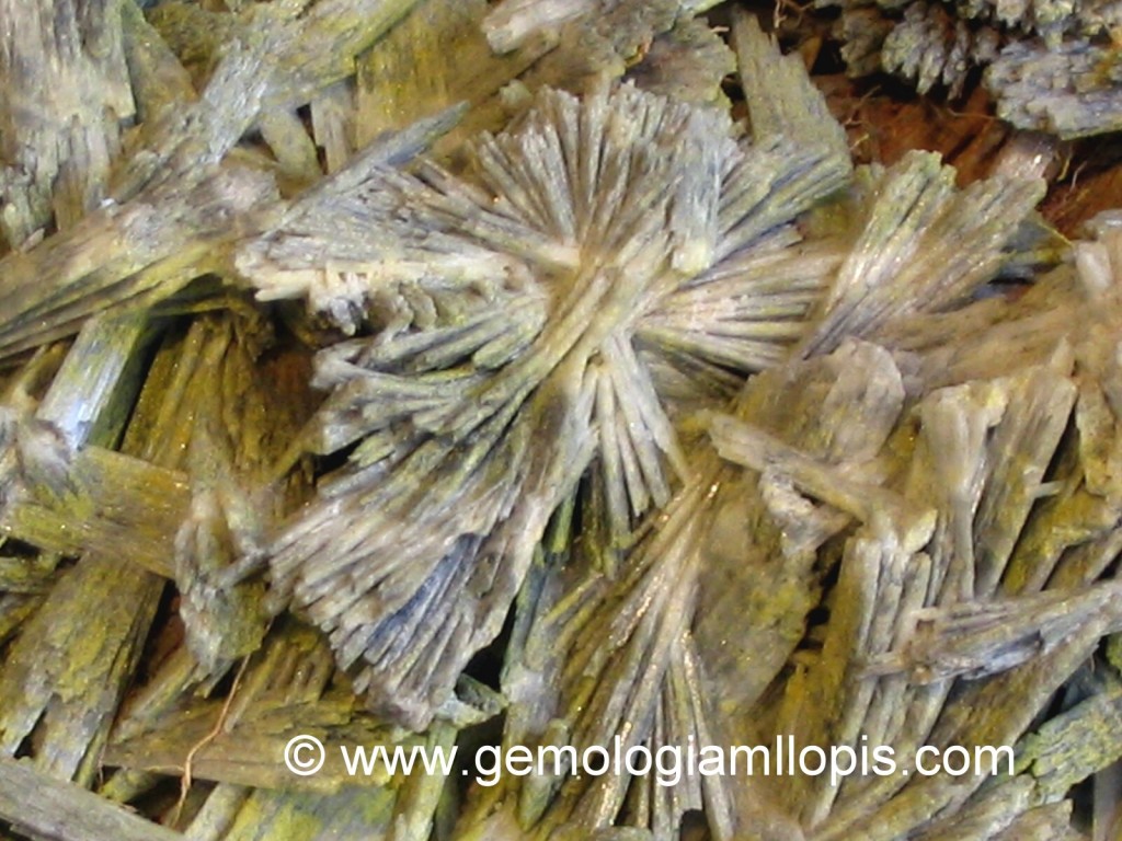 Cristales de pirofilita de aspecto fibroso-radiales, en disposición de rosetas o abanicos. 