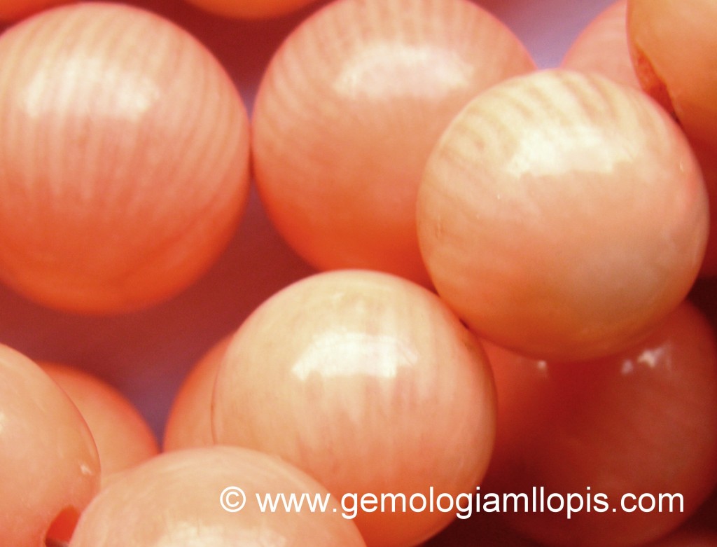 Coral bambú teñido que imita a coral rosa