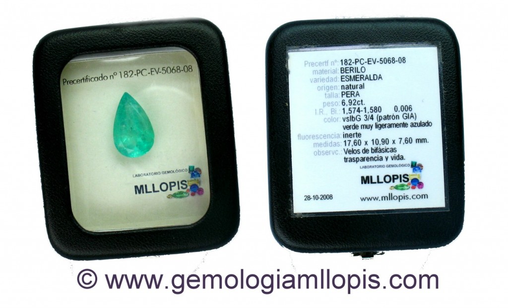 Estuche con gema y su ficha gemológica