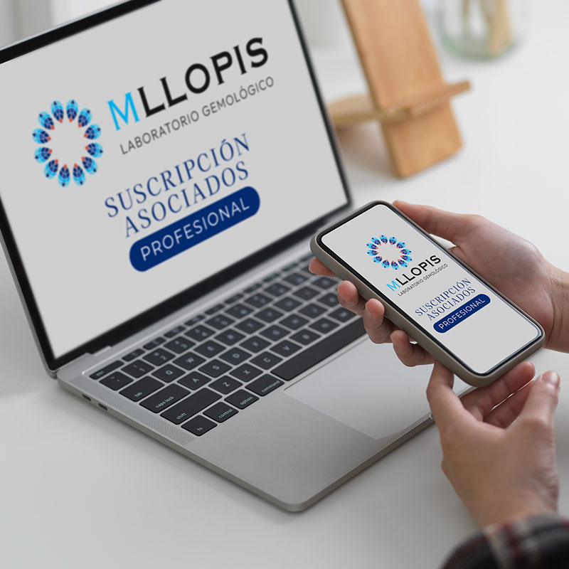 mllopis-laboratorio-gemologico-asociados-suscripcion-profesional mllopis-laboratorio-gemologico-asociados-suscripcion-profesional