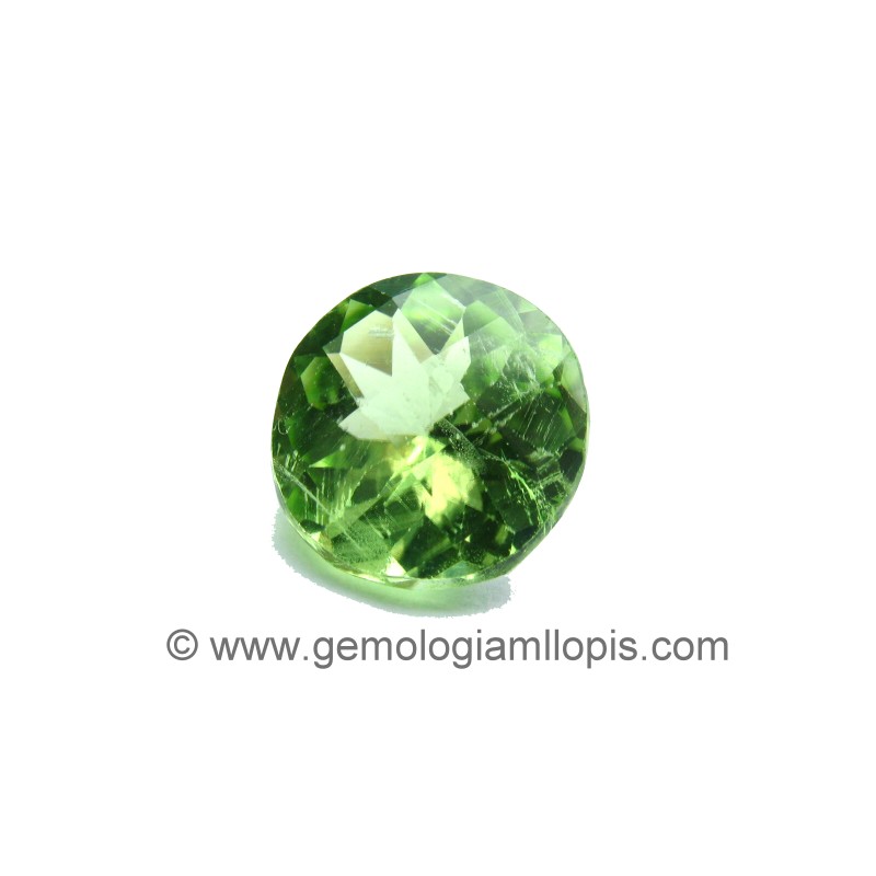 166-1-12 Peridoto Peridoto - Imagen 1