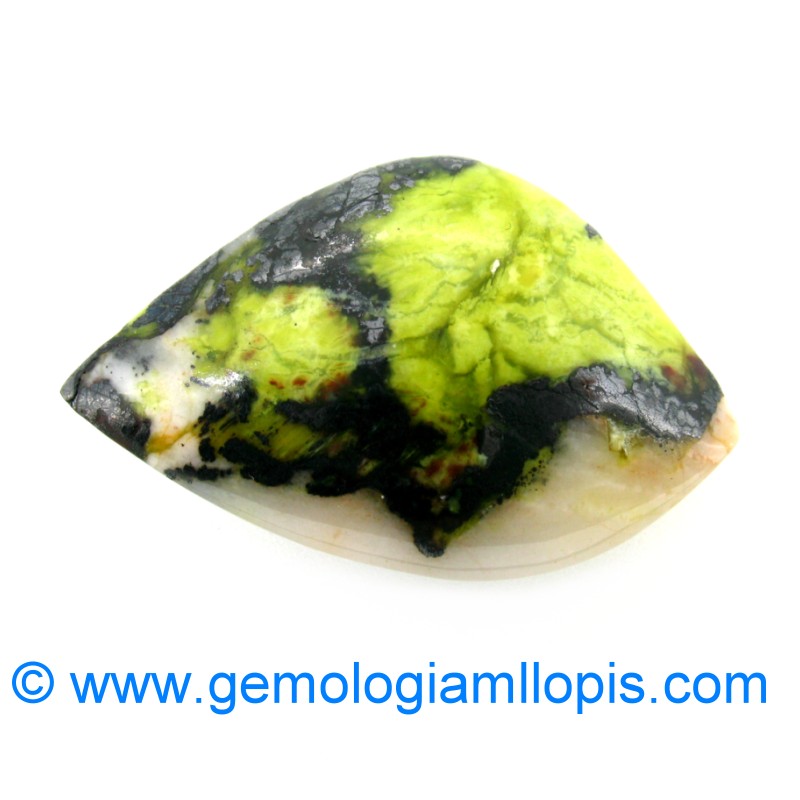 wp-image-featured-image-1027.jpg Serpentina - Imagen 1