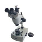 Microscopio estereo Kruss KSW5000-T-LED