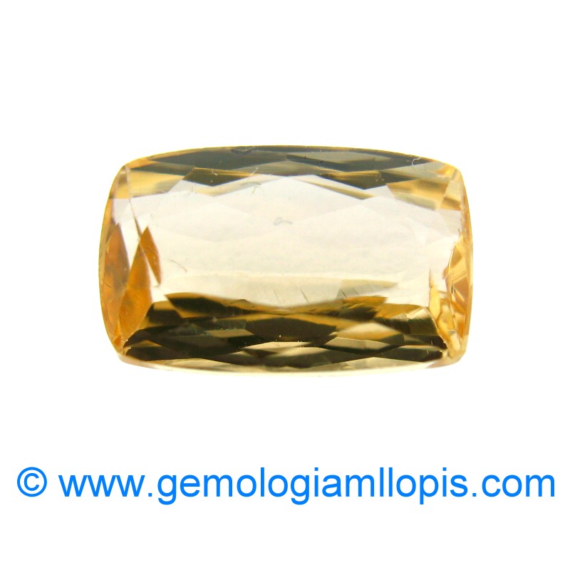 wp-image-featured-image-1424.jpg Topacio dorado - Imagen 1