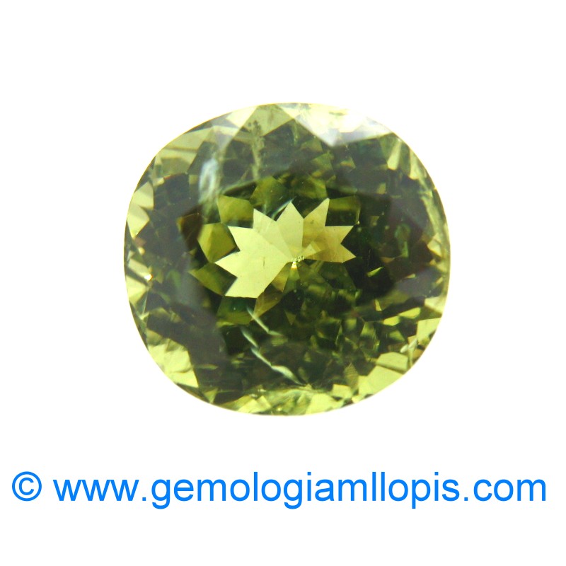 wp-image-featured-image-1425.jpg Granate grosularia - Imagen 1