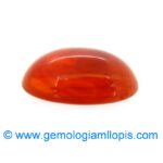 Plastico imita ambar