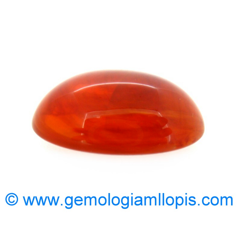 wp-image-featured-image-1731.jpg Plastico imita ambar - Imagen 1