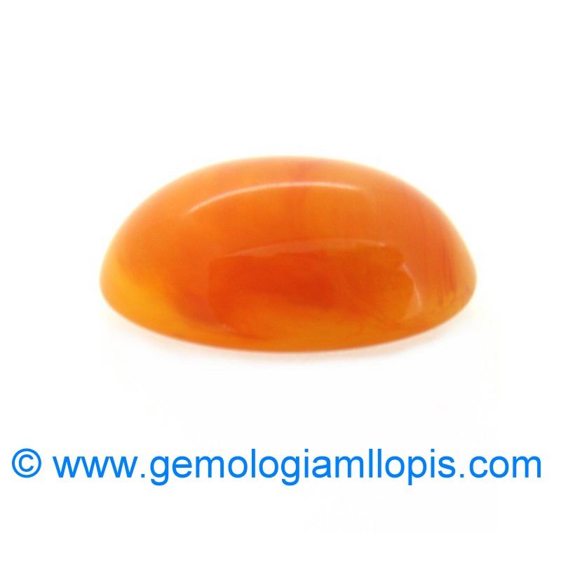 wp-image-featured-image-1732.jpg Plastico imita ambar - Imagen 1