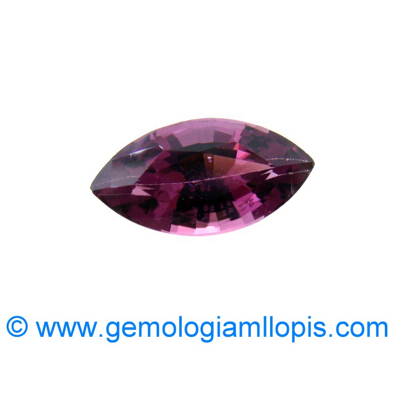 wp-image-featured-image-1836.jpg Espinela morada - Imagen 1