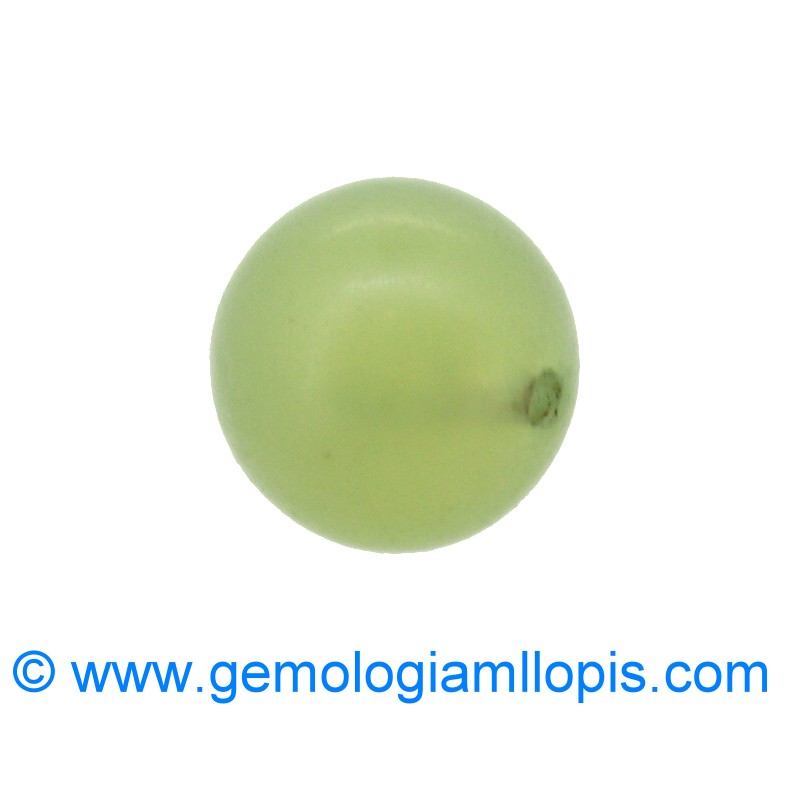 wp-image-featured-image-1873.jpg Serpentina - Imagen 1