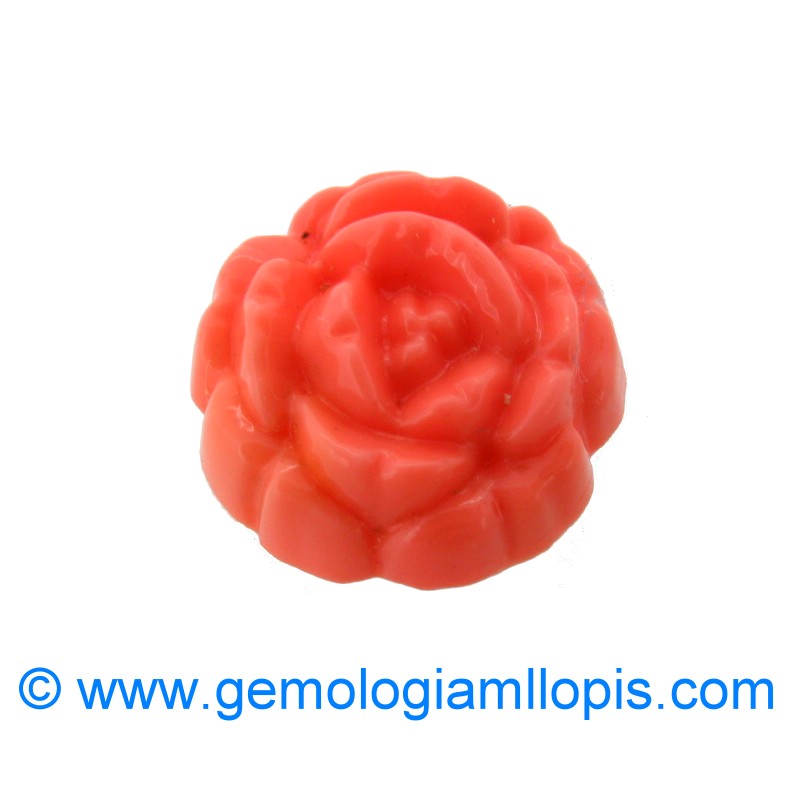 wp-image-featured-image-1877.jpg Plastico imita coral - Imagen 1