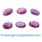 Lote 6 Rubies