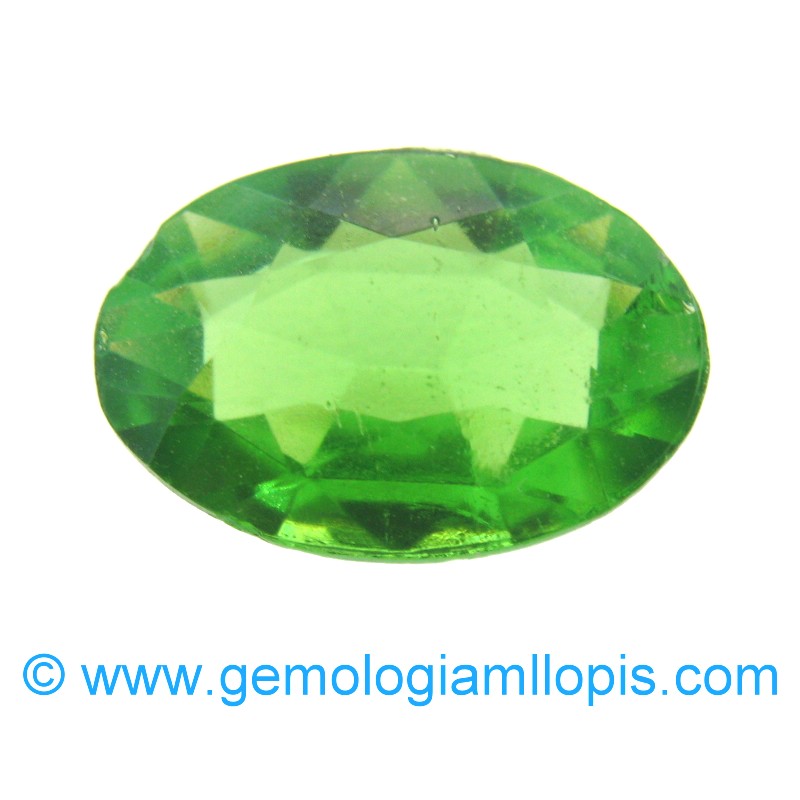 wp-image-featured-image-2113.jpg Vidrio verde - Imagen 1