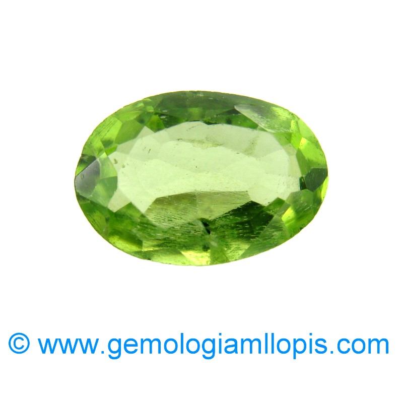 wp-image-featured-image-2141.jpg Peridoto - Imagen 1