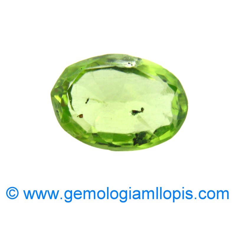 wp-image-featured-image-2142.jpg Peridoto - Imagen 1