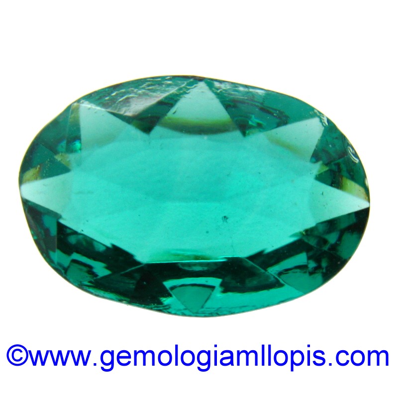 wp-image-featured-image-2341.jpg Vidrio verde - Imagen 1