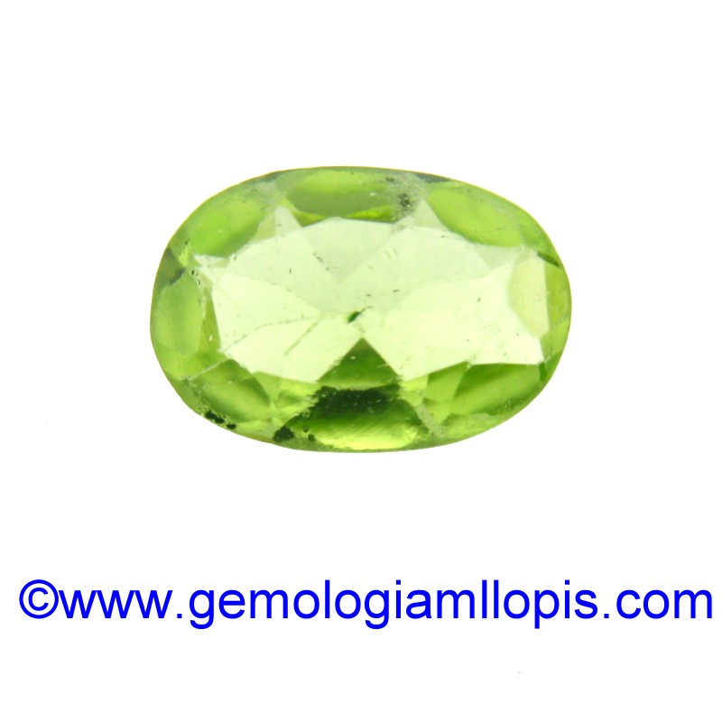 wp-image-featured-image-2373.jpg Peridoto - Imagen 1