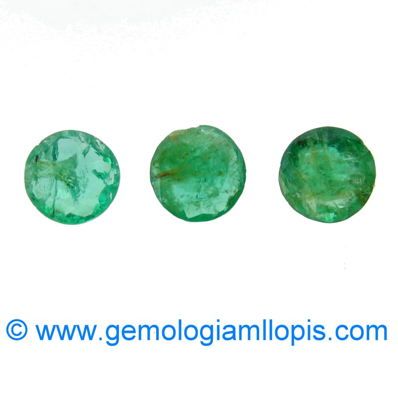 wp-image-featured-image-2785.jpg Esmeralda - Imagen 1