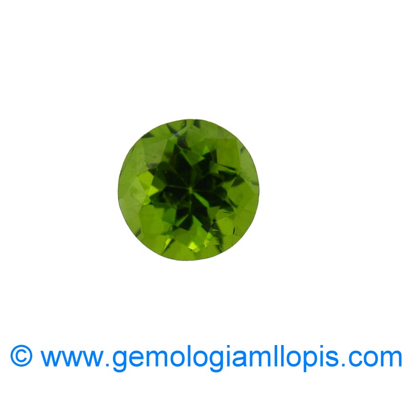 wp-image-featured-image-3023.jpg Peridoto - Imagen 1