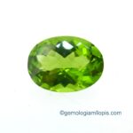 Peridoto
