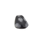 Obsidiana nevada