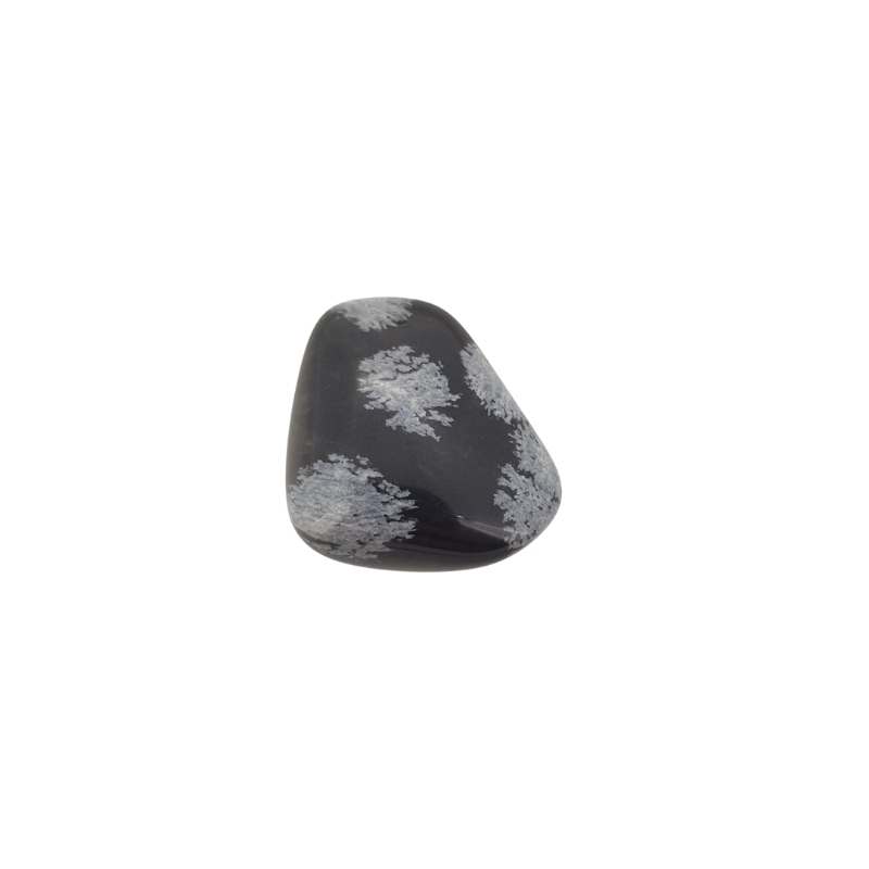 wp-image-featured-image-3486.jpg Obsidiana nevada - Imagen 1