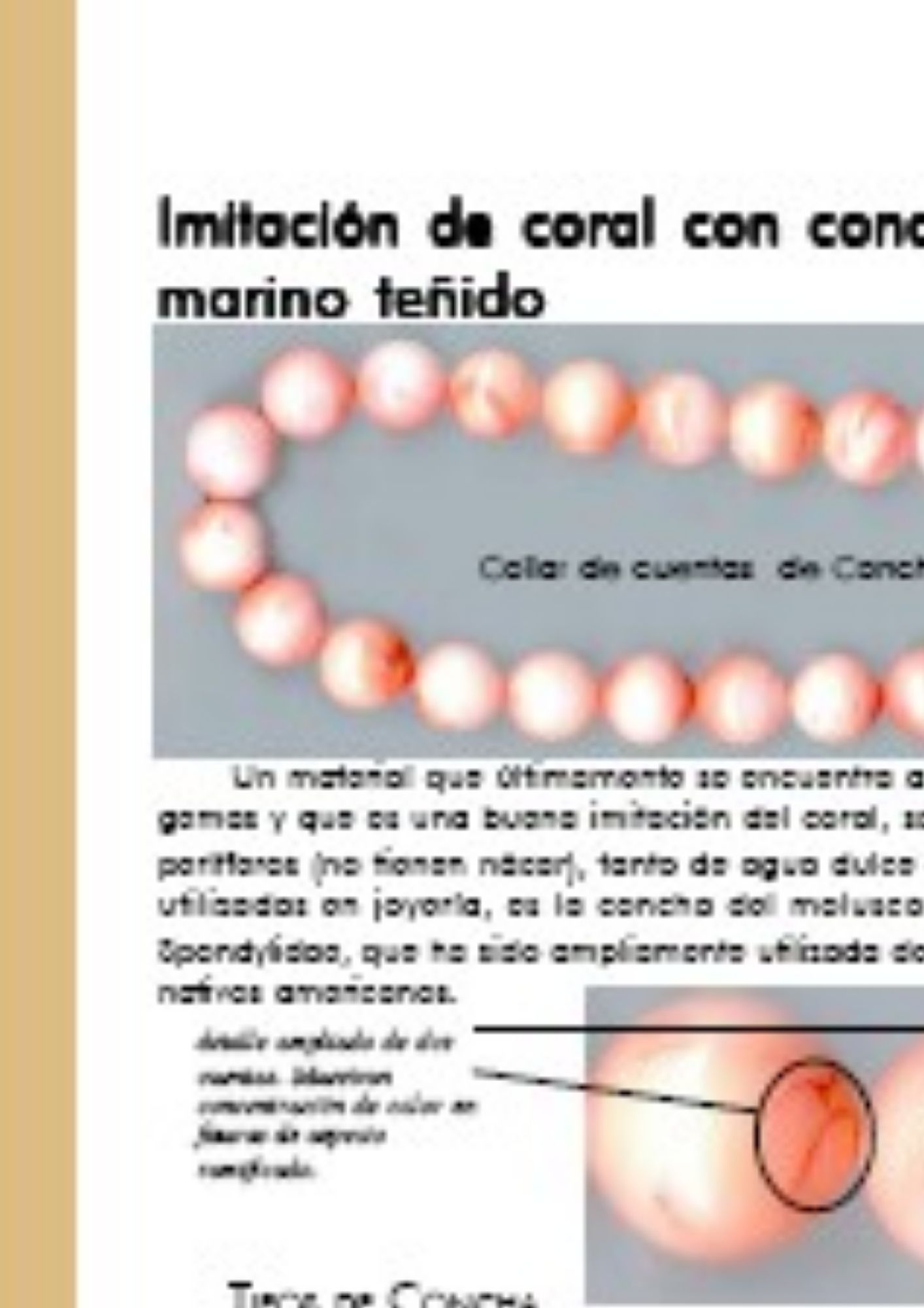 wp-image-featured-image-3823.jpg Imitacion de coral con concha de molusco - Imagen 1