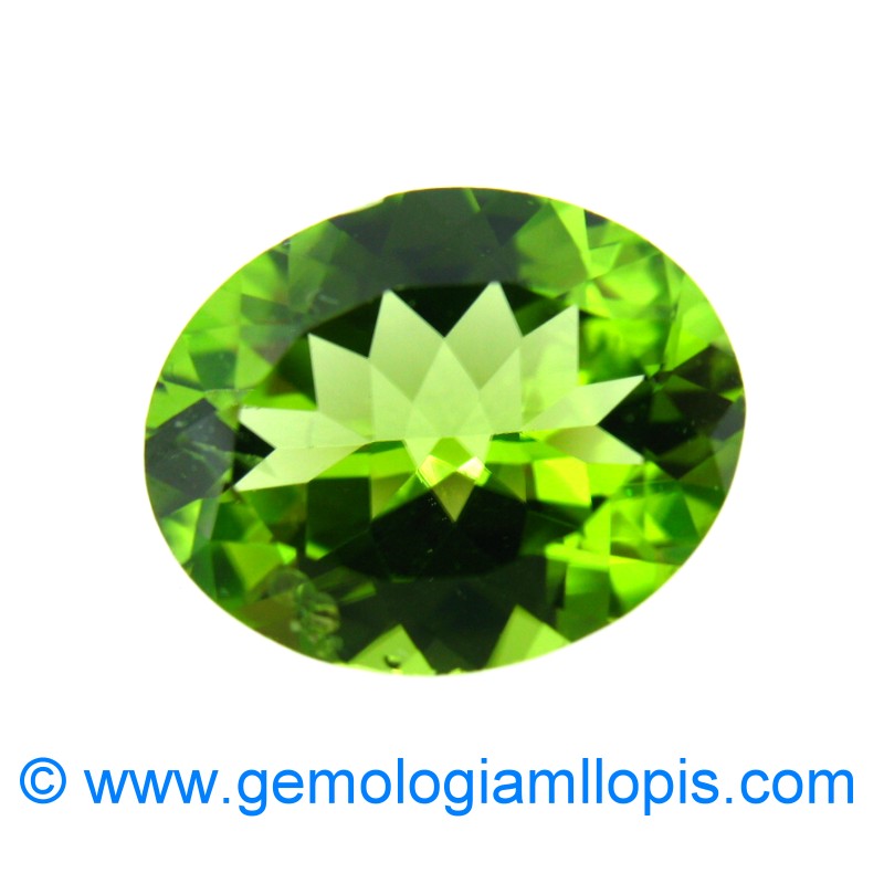 wp-image-featured-image-729.jpg Peridoto - Imagen 1