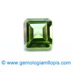 Peridoto