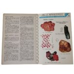 Atlas de mineralogia - Imagen 2