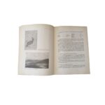 Gemologia Vol.14 - n. 49 - 50 - Imagen 4