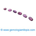 Lote 6 Rubies - Imagen 2