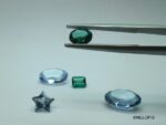 Pinzas con interior de fluoropolímero - Imagen 2