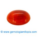 Plastico imita ambar - Imagen 2