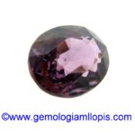 Espinela morada - Imagen 2