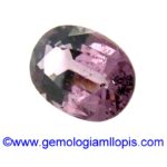 Espinela morada - Imagen 2
