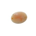Coral - Imagen 3