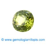 Granate grosularia - Imagen 2