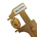 Opalo común - Imagen 2