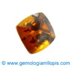 Granate grosularia - Imagen 2