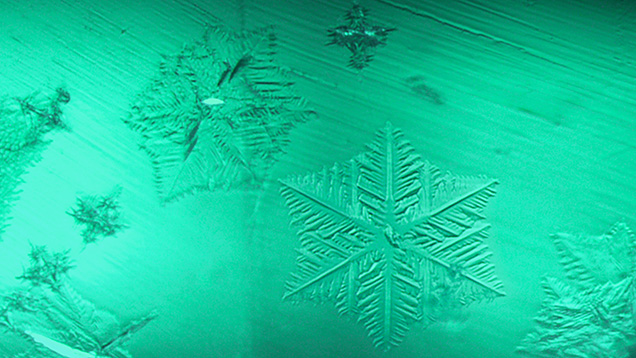 La iluminación de campo claro revela un patrón dendrítico en las plaquetas estrelladas, que presentan un sorprendente parecido con copos de nieve. También se observan inclusiones cristalinas tridimensionales más pequeñas en el vidrio artificial. Microfotografía de Kanako Otsuka; campo de visión de 1,58 mm